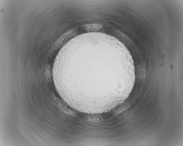 X0000052580761200507292032