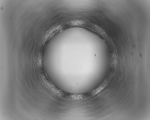 X0000052580762200507292032