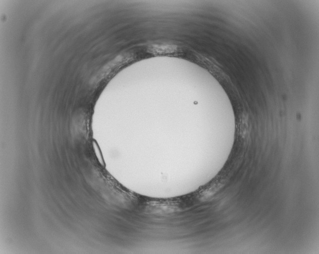 X0000052580763200507292032