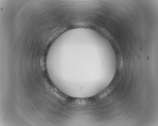 X0000052580764200507292032