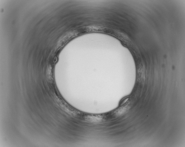 X0000052580765200507292032