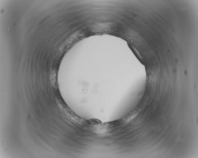 X0000052580767200507292032