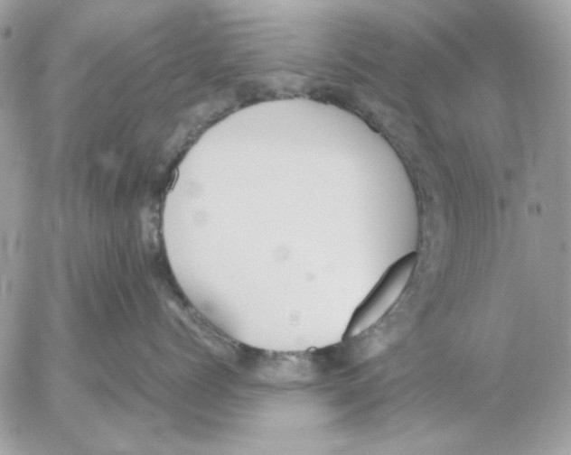 X0000052580768200507292032