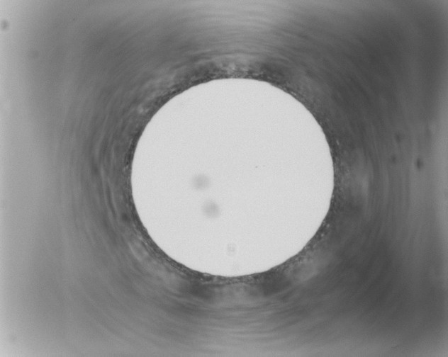 X0000052580769200507292031