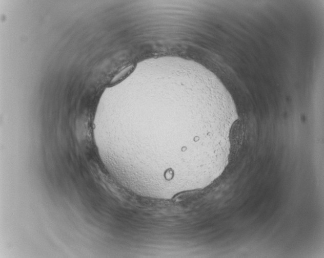 X0000052580770200507292031