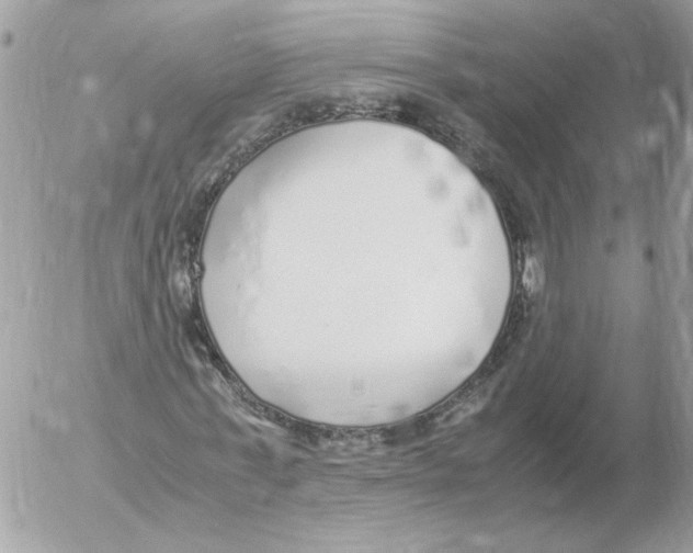 X0000052580771200507292031