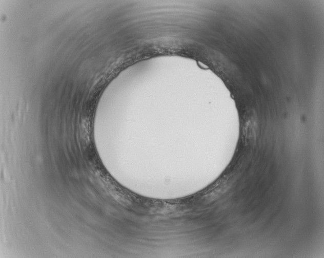 X0000052580772200507292031