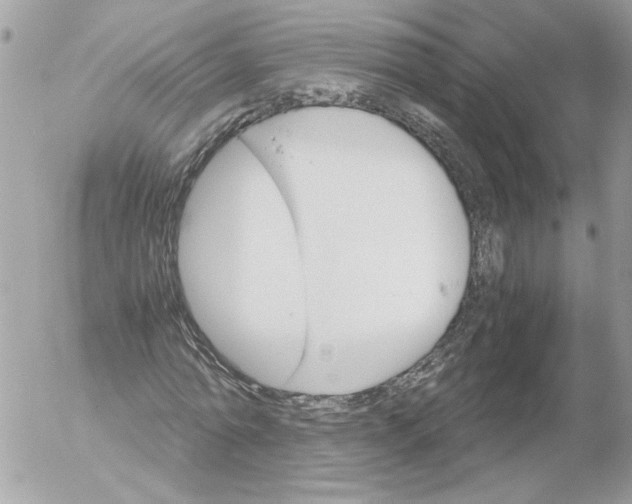 X0000052580774200507292031