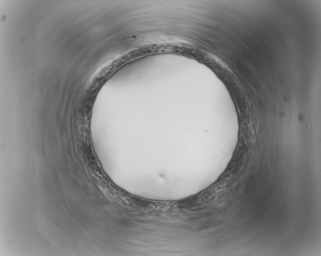 X0000052580775200507292031