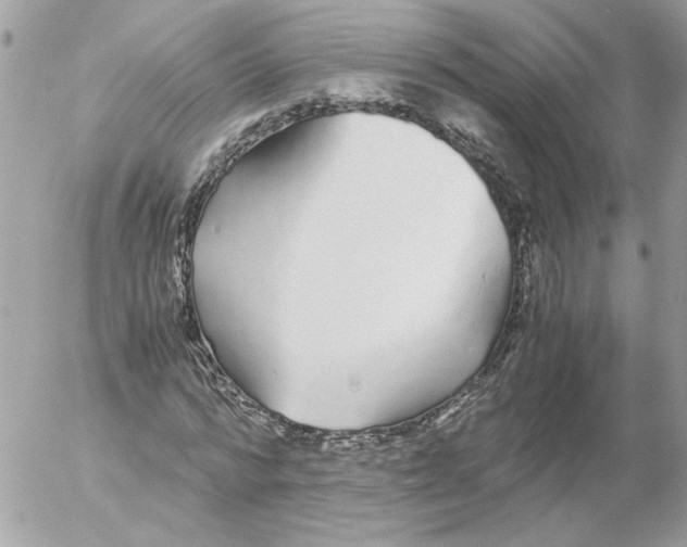 X0000052580776200507292031