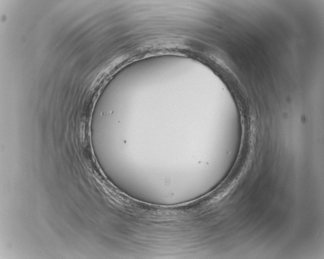 X0000052580777200507292031