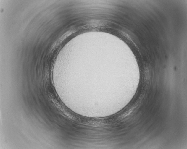 X0000052580778200507292031