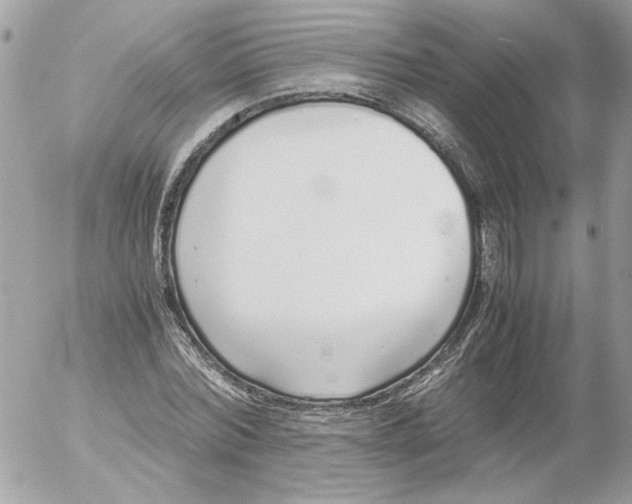 X0000052580780200507292031