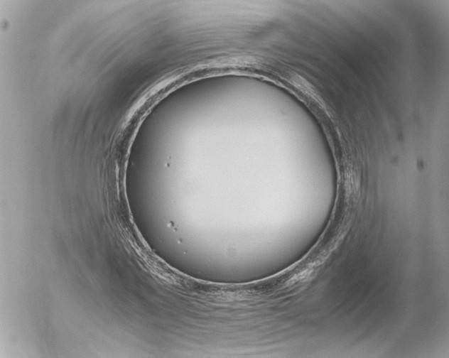 X0000052580781200507292031