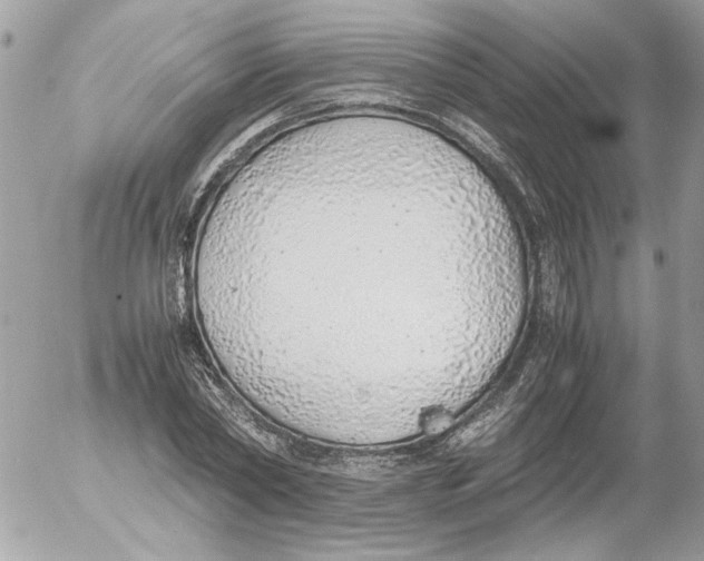 X0000052580782200507292031