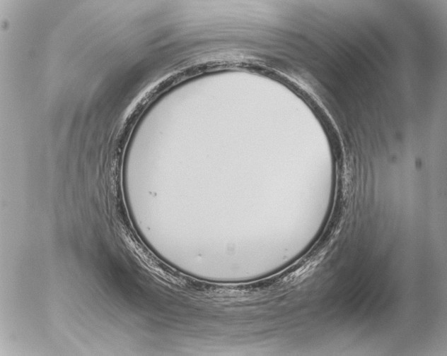 X0000052580783200507292031