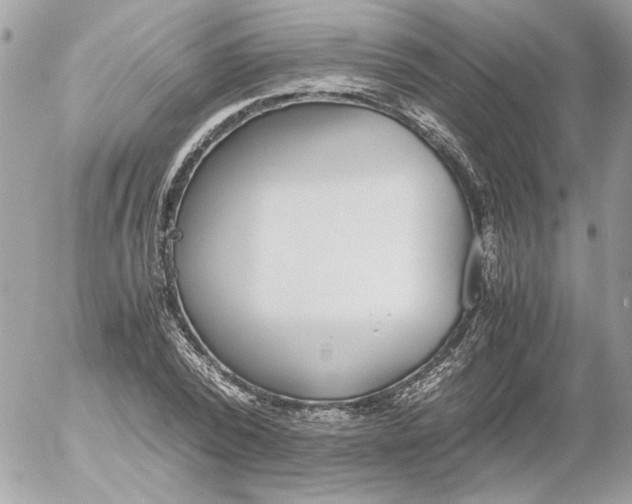 X0000052580784200507292031