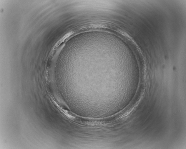 X0000052580785200507292031