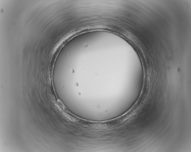 X0000052580789200507292031