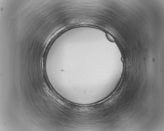 X0000052580790200507292031