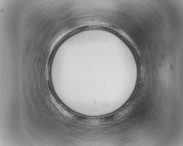 X0000052580791200507292031