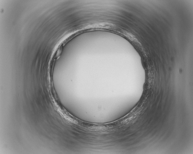 X0000052580792200507292031