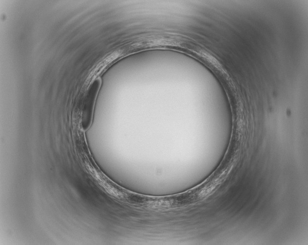 X0000052580793200507292031