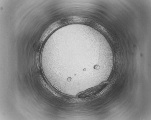 X0000052580794200507292031