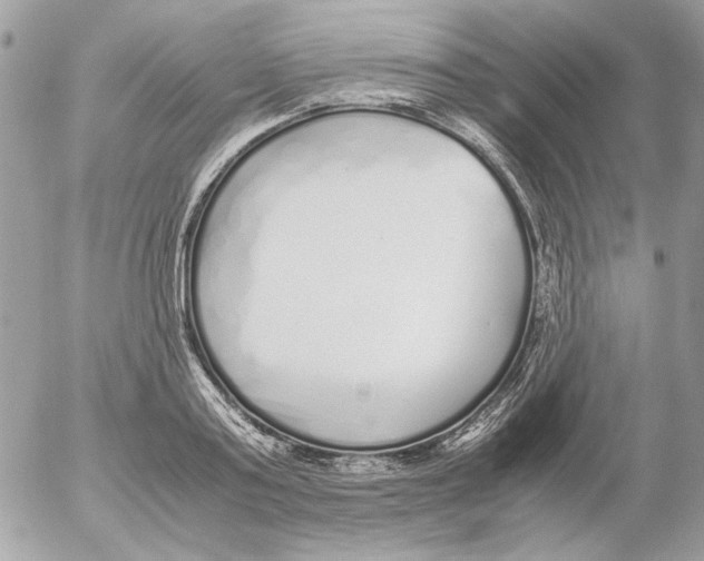 X0000052580795200507292031