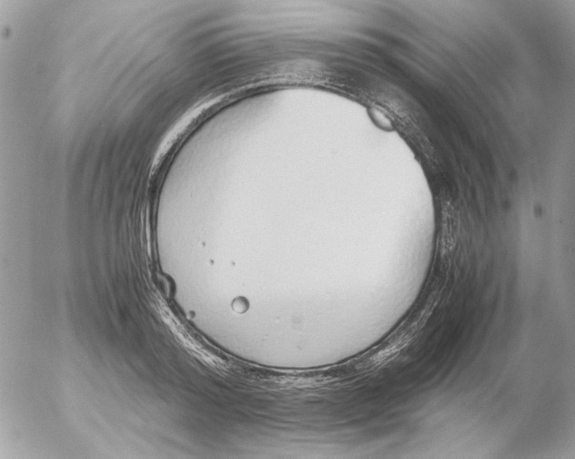 X0000052580796200507292031