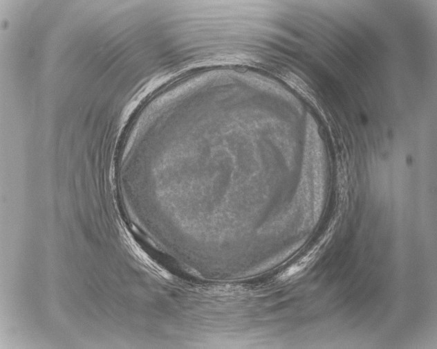 X0000052580797200507292031