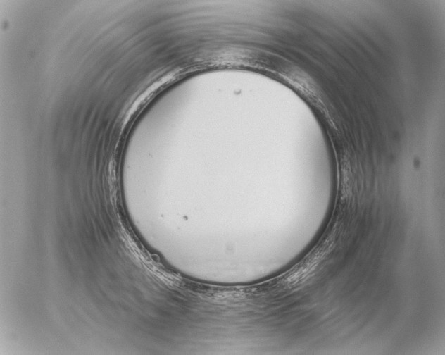 X0000052580798200507292031