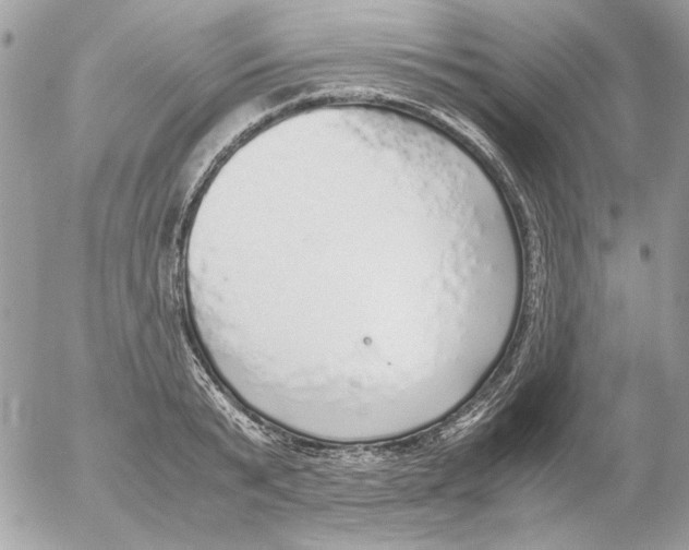 X0000052580799200507292031