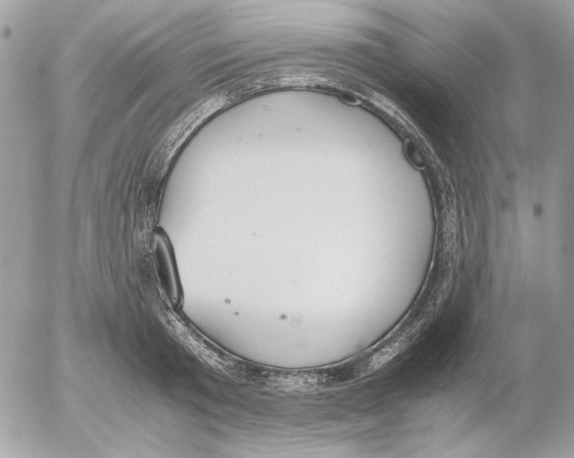 X0000052580801200507292031