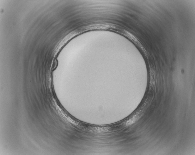 X0000052580802200507292030