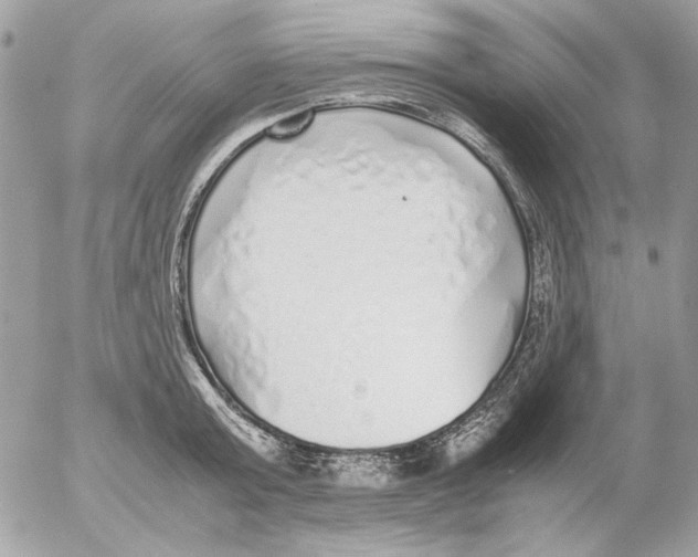 X0000052580803200507292030