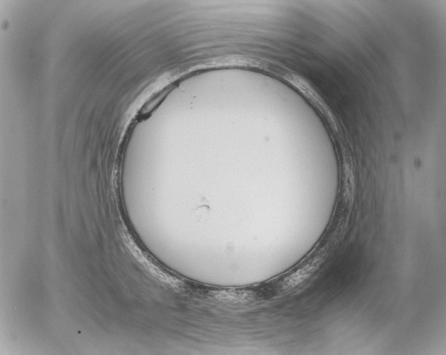 X0000052580805200507292030