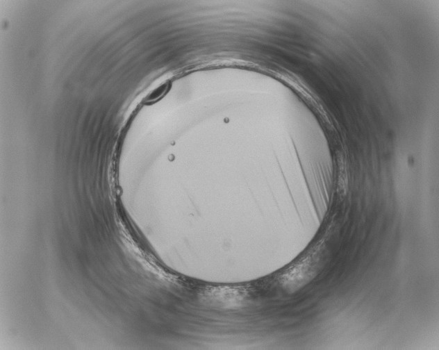 X0000052580806200507292030