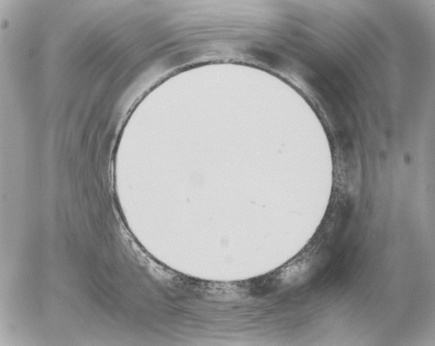 X0000052580807200507292030