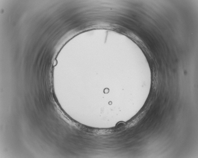 X0000052580808200507292030