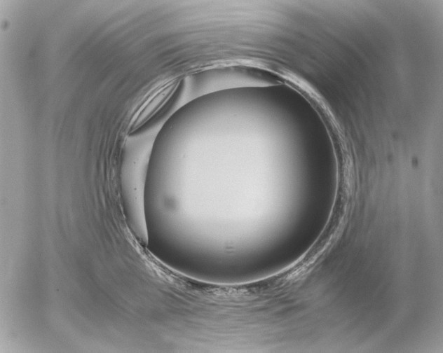 X0000052580809200507292030