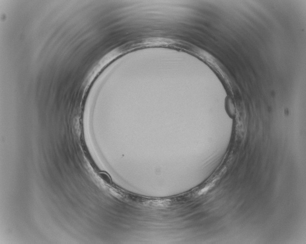 X0000052580810200507292030