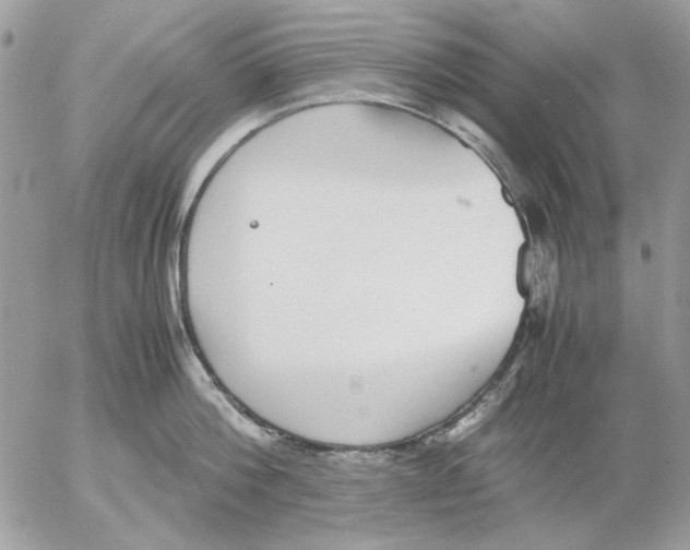 X0000052580812200507292030