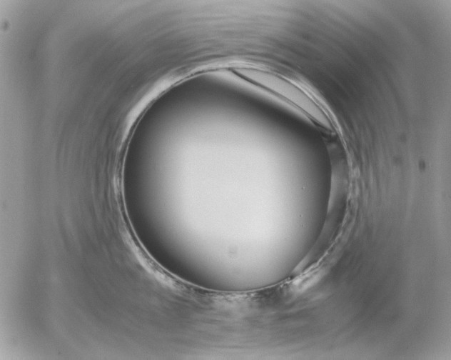 X0000052580813200507292030