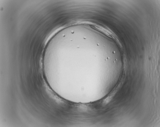 X0000052580814200507292030