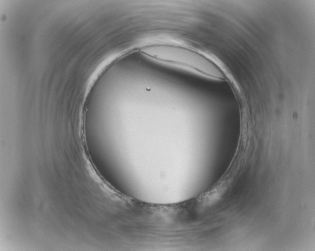 X0000052580815200507292030