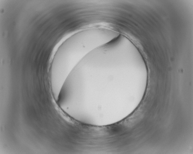 X0000052580816200507292030