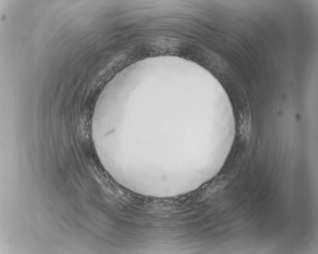 X0000052580819200507292029