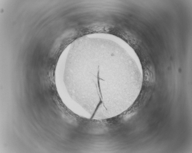 X0000052580820200507292030