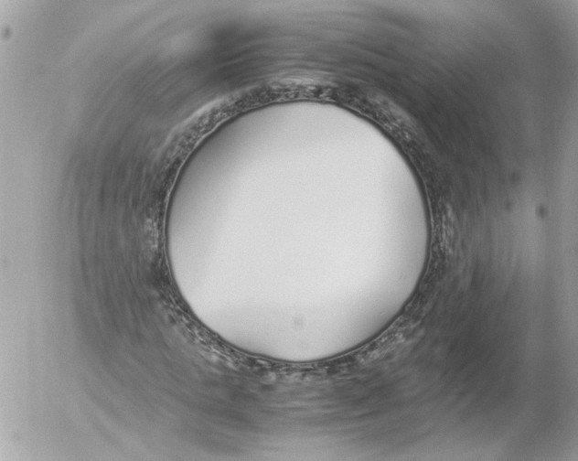 X0000052580821200507292030